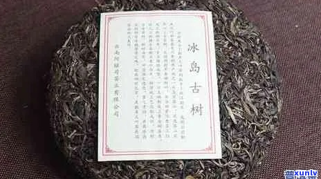 冰岛古茶特点介绍及价格，冰岛古茶是何茶叶？