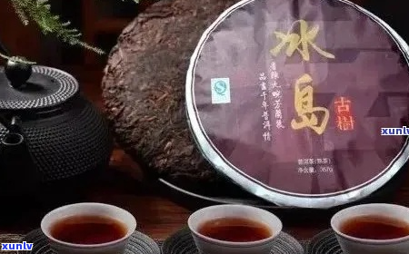 冰岛老树普洱茶价格及品质比较指南