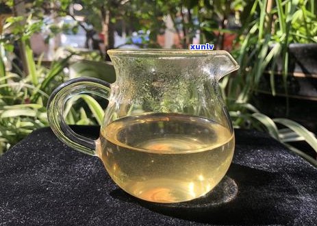 冰岛古树茶价格趋势与影响因素分析