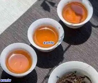 选择喝普洱茶还是红茶：全面对比分析与健康益处