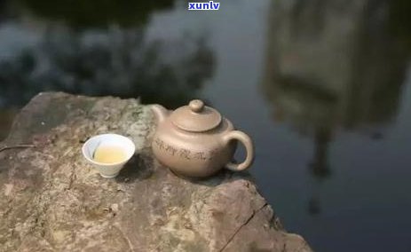 普洱茶冲泡全指南：掌握加水时机，让你的每一次品鉴都是完美体验