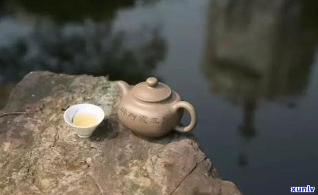 普洱茶冲泡全指南：掌握加水时机，让你的每一次品鉴都是完美体验