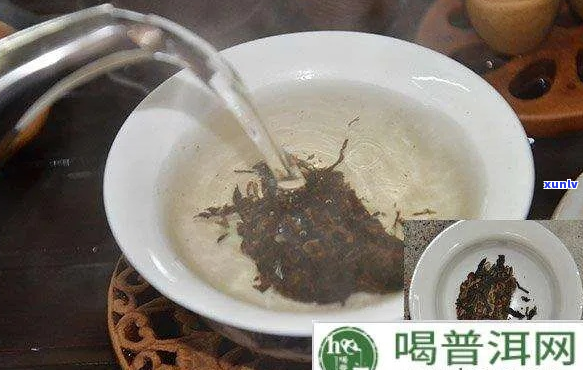 普洱茶如何添水