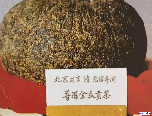 普洱顶级金瓜贡茶价格及购买指南