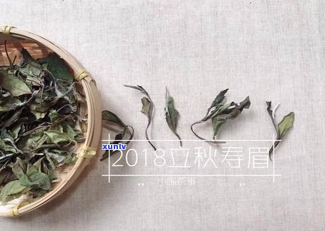 普洱茶虫子怎么处理干净