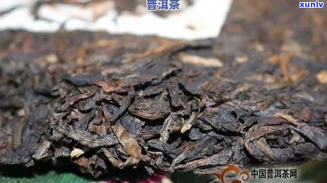 普洱茶中虫子处理的全方位指南