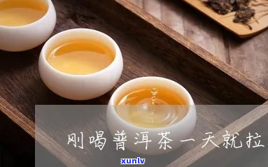 普洱茶吃了会拉肚子吗