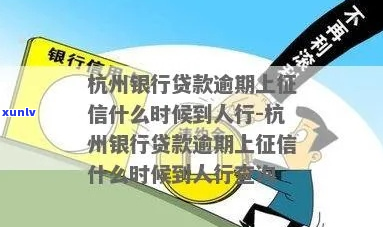 杭银金融逾期上