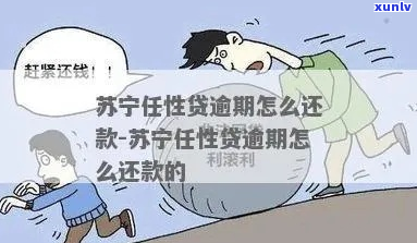 苏宁任性贷逾期会怎样