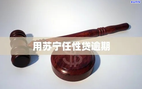 苏宁任性贷逾期会怎样