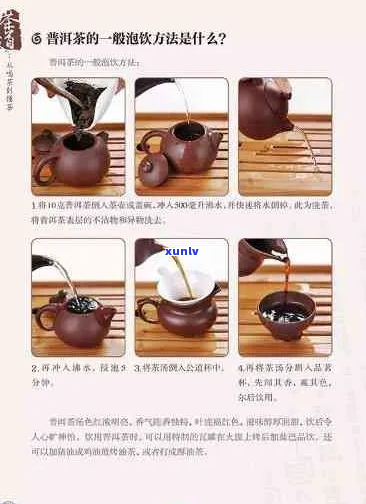 如何正确泡制普洱茶：一次泡茶量及冲泡技巧全面解析