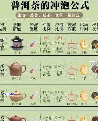 如何正确泡制普洱茶：一次泡茶量及冲泡技巧全面解析