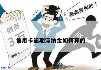 信用卡逾期后滞纳金手续费