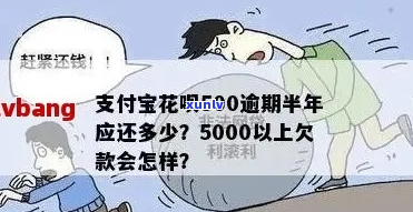 花呗欠款5000逾期一年如何处理