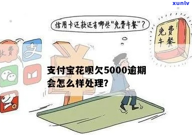 花呗欠款5000逾期一年如何处理