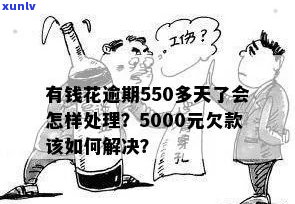 花呗欠款5000逾期一年如何处理