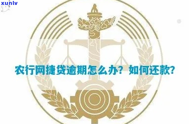 农行网捷贷如何办理延期还款手续