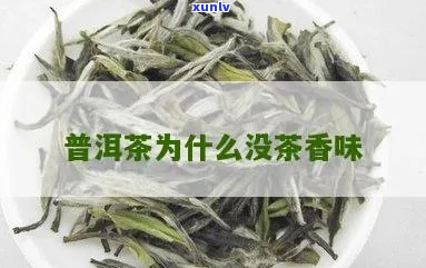 《普洱茶没有茶叶味怎么回事》