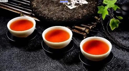 特色茶文化探索：普洱茶的鉴赏与品饮指南