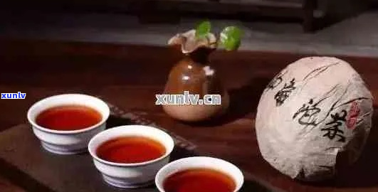 特色茶文化探索：普洱茶的鉴赏与品饮指南