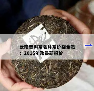 茗月普洱茶价格及市场行情分析