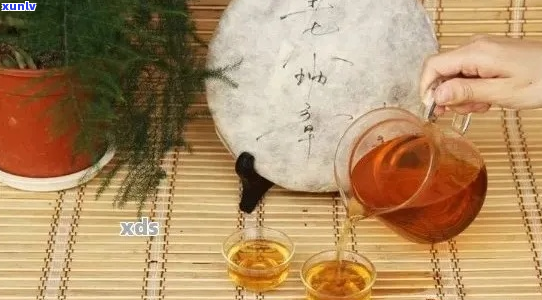 中年女性饮用普洱茶：益处、注意事项与健康指南