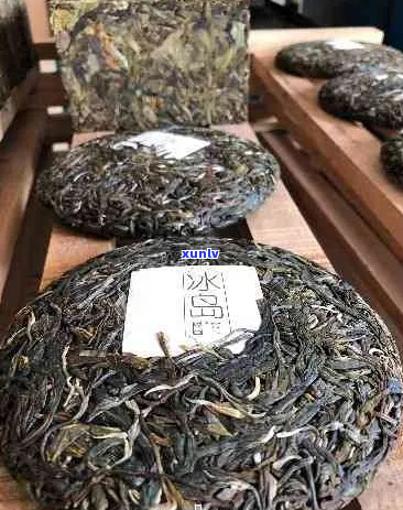 无量山普洱茶的鉴赏指南与市场行情解析