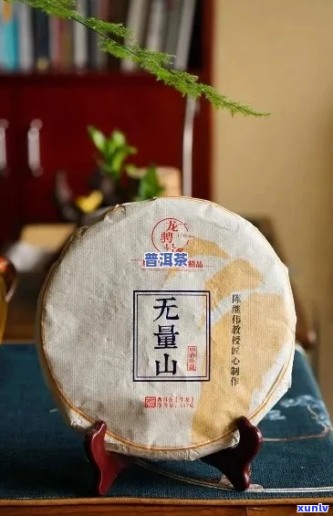 无量山普洱茶特点及价格介绍