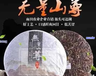 无量山普洱茶特点及价格介绍