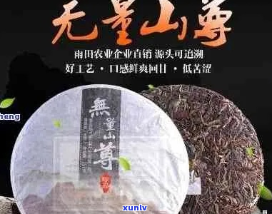 无量山普洱茶特点及价格