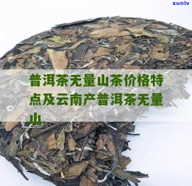 无量山普洱茶特点及价格