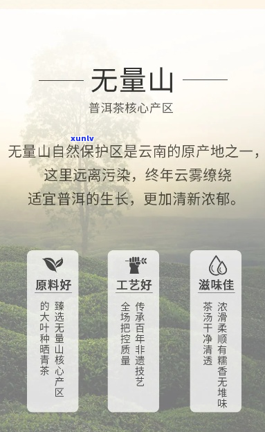 无量山普洱茶特点及价格