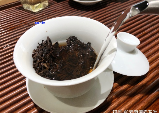 熟普洱茶能跟什么一起泡茶