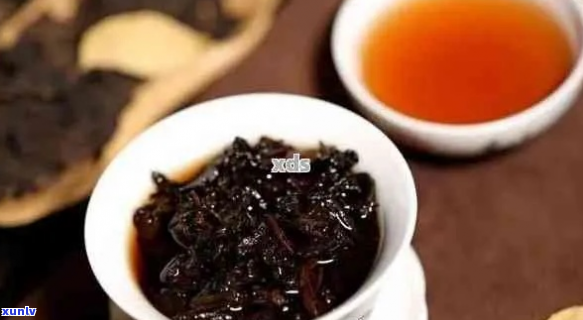 熟普洱茶能跟什么一起泡茶