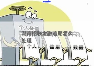 招联金融逾期最后怎么办应对措施