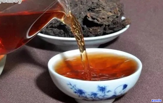 熟普洱茶可以和什么一起煮水喝