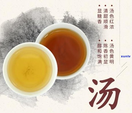 普洱熟茶搭配饮品大全