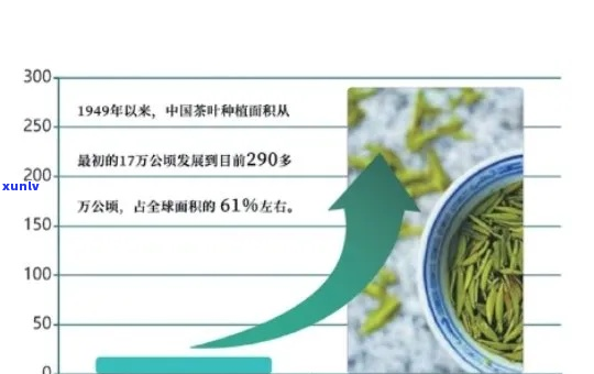 100克茶叶等于多少毫升?