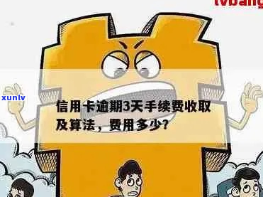 信用卡逾期的手续费怎么收取