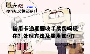 信用卡逾期的手续费怎么收取