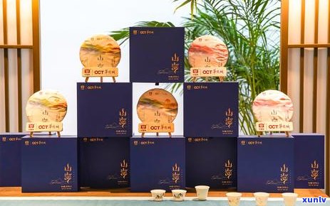 大益普洱茶全系列产品指南：从入门到进阶的探索