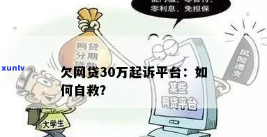 欠网贷30万如何自救