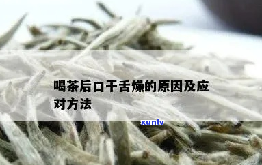 探究喝红茶后口干舌燥的原因及其应对策略