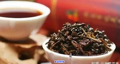 红茶与普洱茶口感比较指南：揭秘两种茶的风味差异及其鉴赏技巧