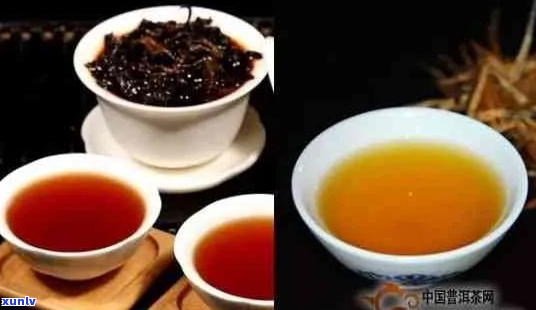 红茶与普洱茶口感比较指南：揭秘两种茶的风味差异及其鉴赏技巧