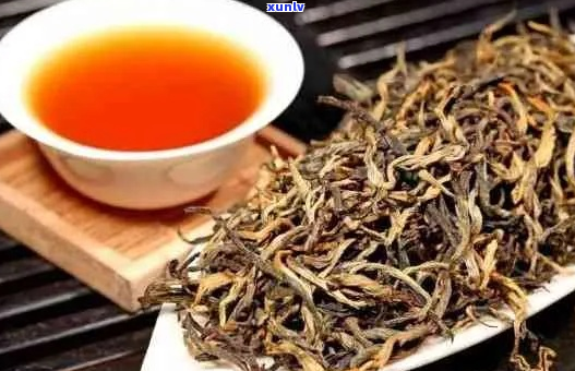 红茶与普洱茶口感比较指南：揭秘两种茶的风味差异及其鉴赏技巧