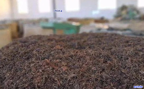 普洱茶的发酵、干燥与开沟晾干流程解析