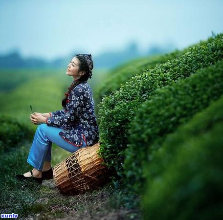 四年的普洱茶市场价是多少？