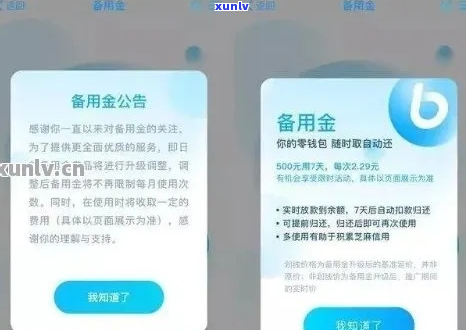 支付宝备用金逾期30天应该怎么办