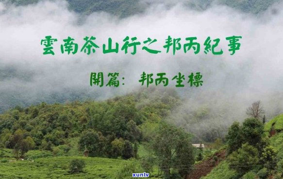 普洱邦崴茶山游